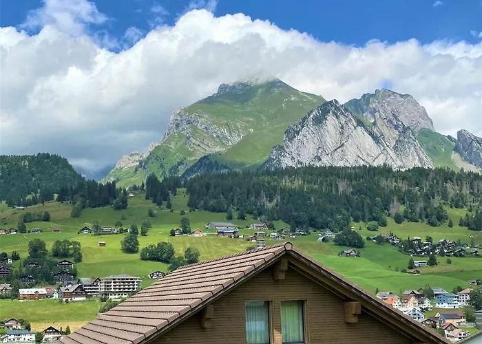 Primula ويلدهاوس